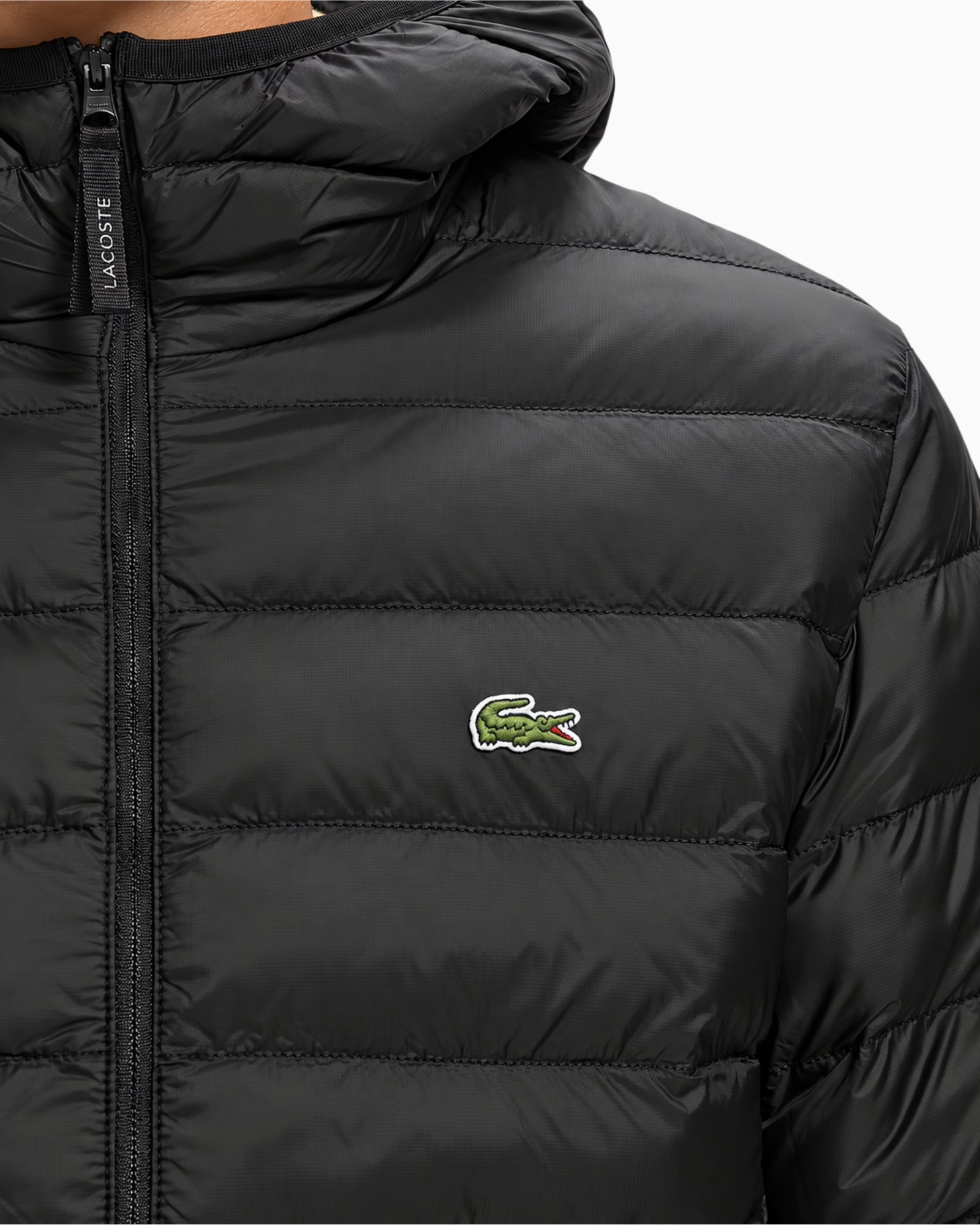 Lacoste Giubbino BH8714/031