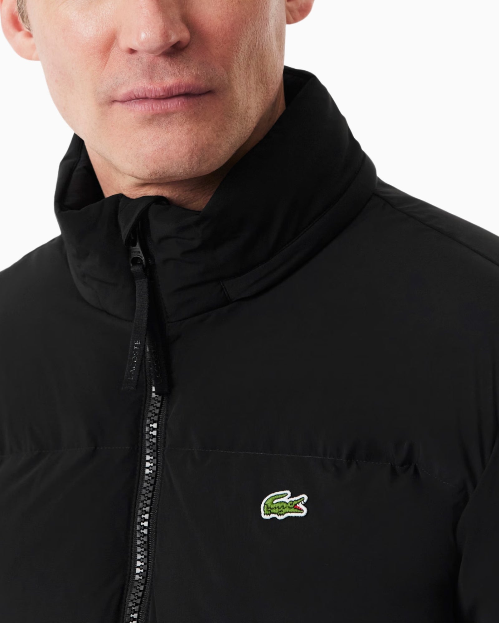 Lacoste Giubbino BH5154/031