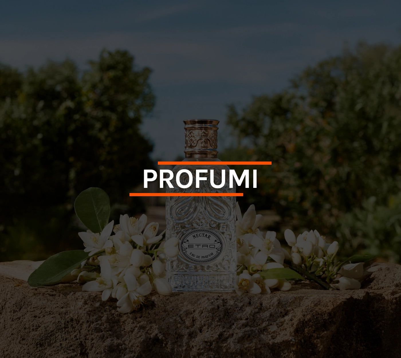 SanShop_-_Banner_-_Profumi.webp