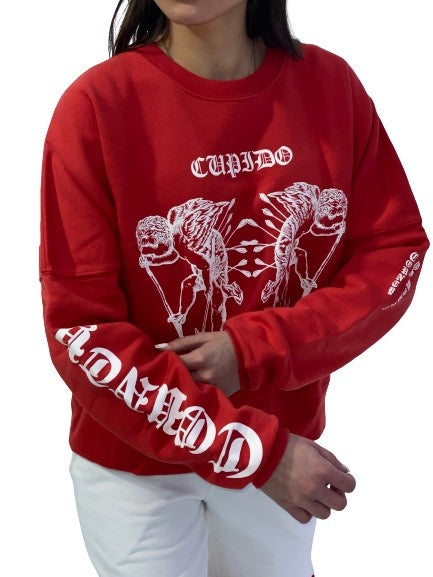 Marcelo Burlon Felpa CWBA031E18506114 2001 - SanShopLuxury - -70%, 2017, Abbigliamento, Autunno/Inverno, Donna, Felpa, FW17, Girocollo, M, Marcelo Burlon, Outlet, Rosso, S, XS