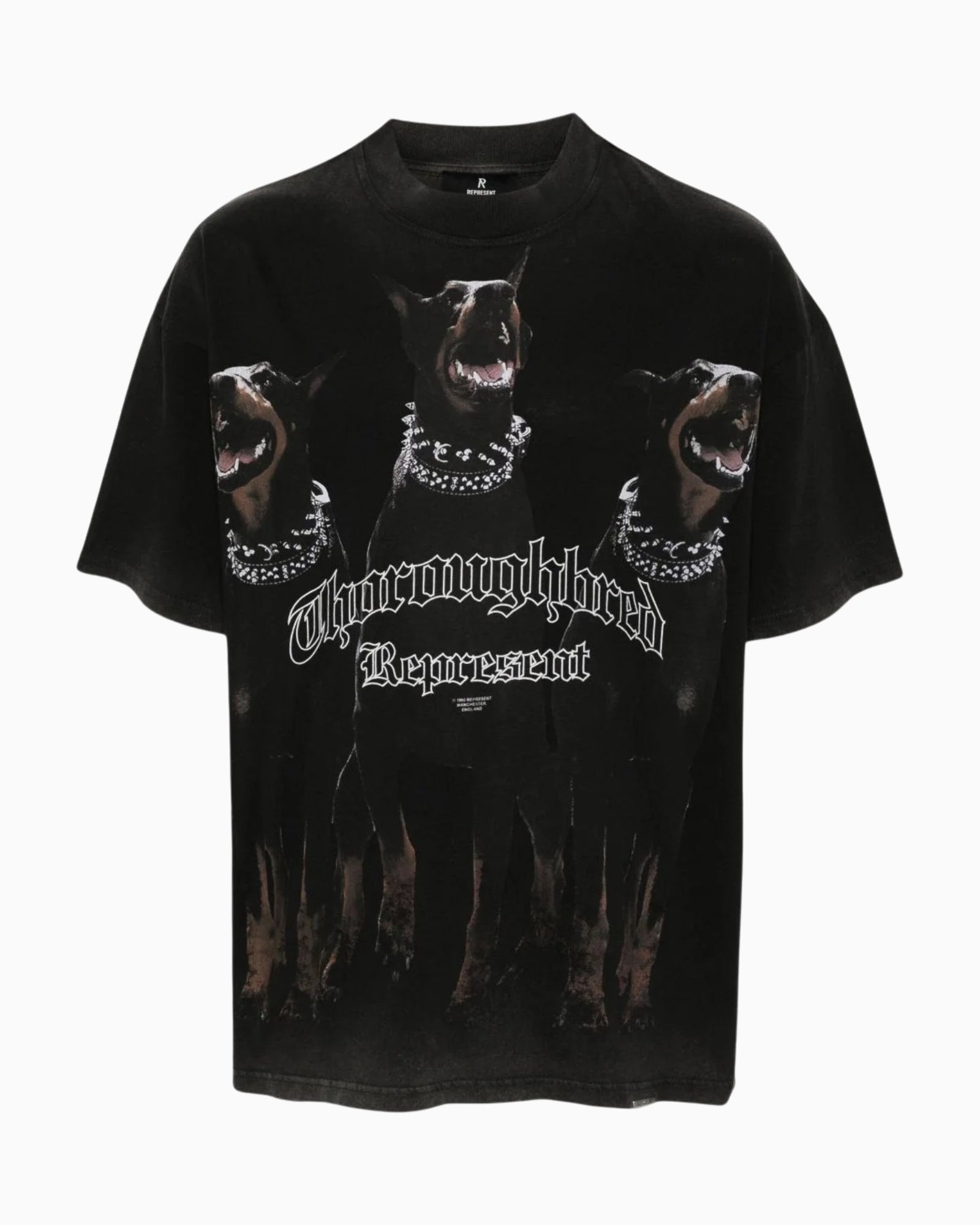 Represent T-Shirt MLM41135/003