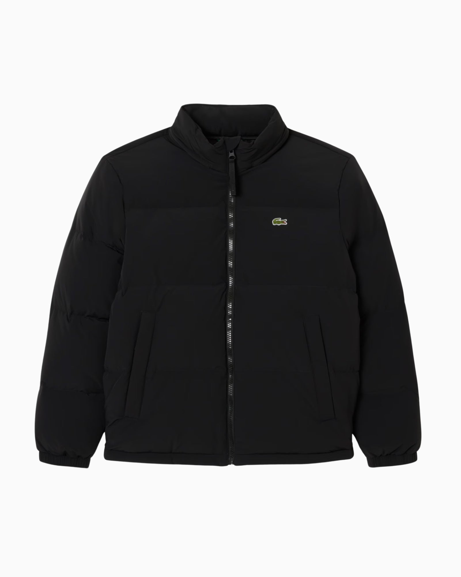 Lacoste Giubbino BH5154/031
