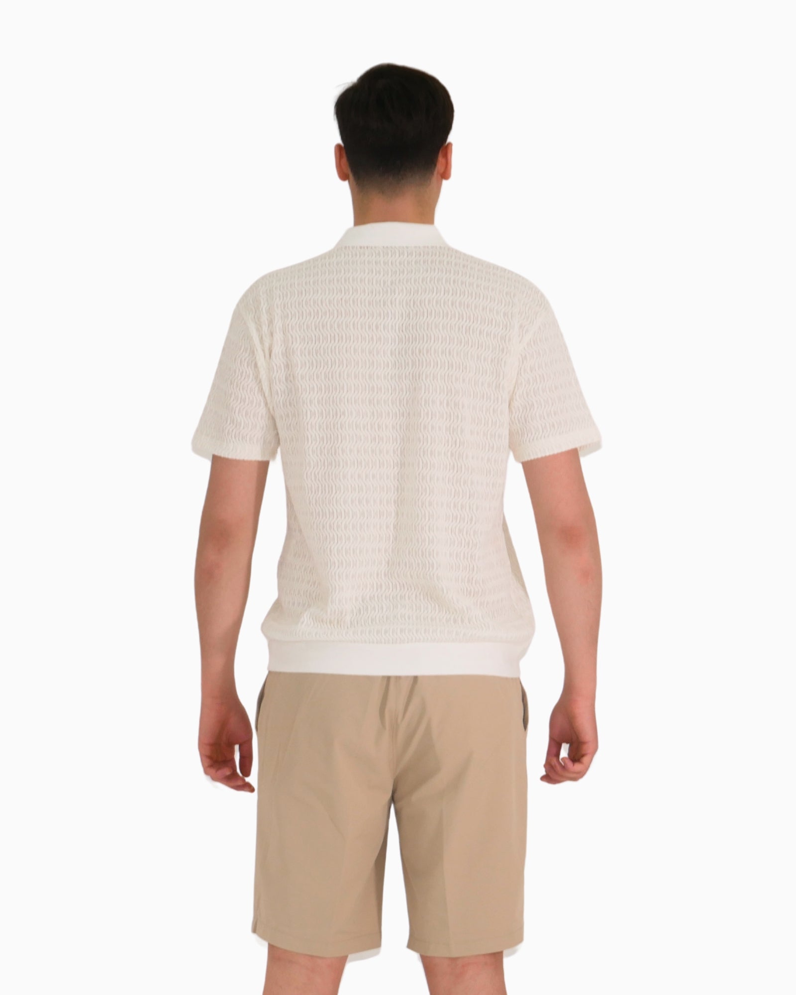 Brian Rush T-Shirt Polo FD203-MA330-PANNA