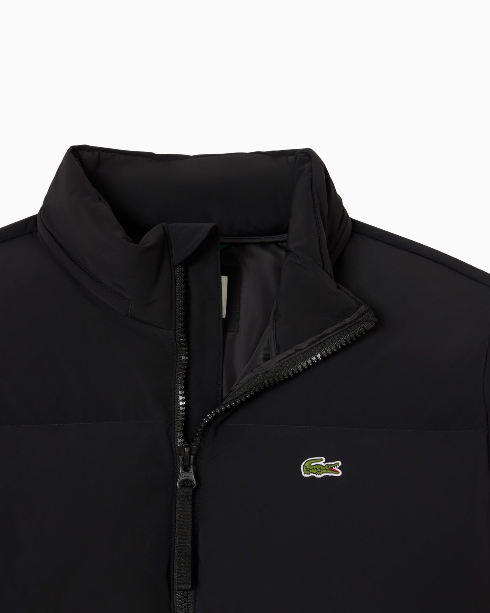 Lacoste Giubbino BH5154/031