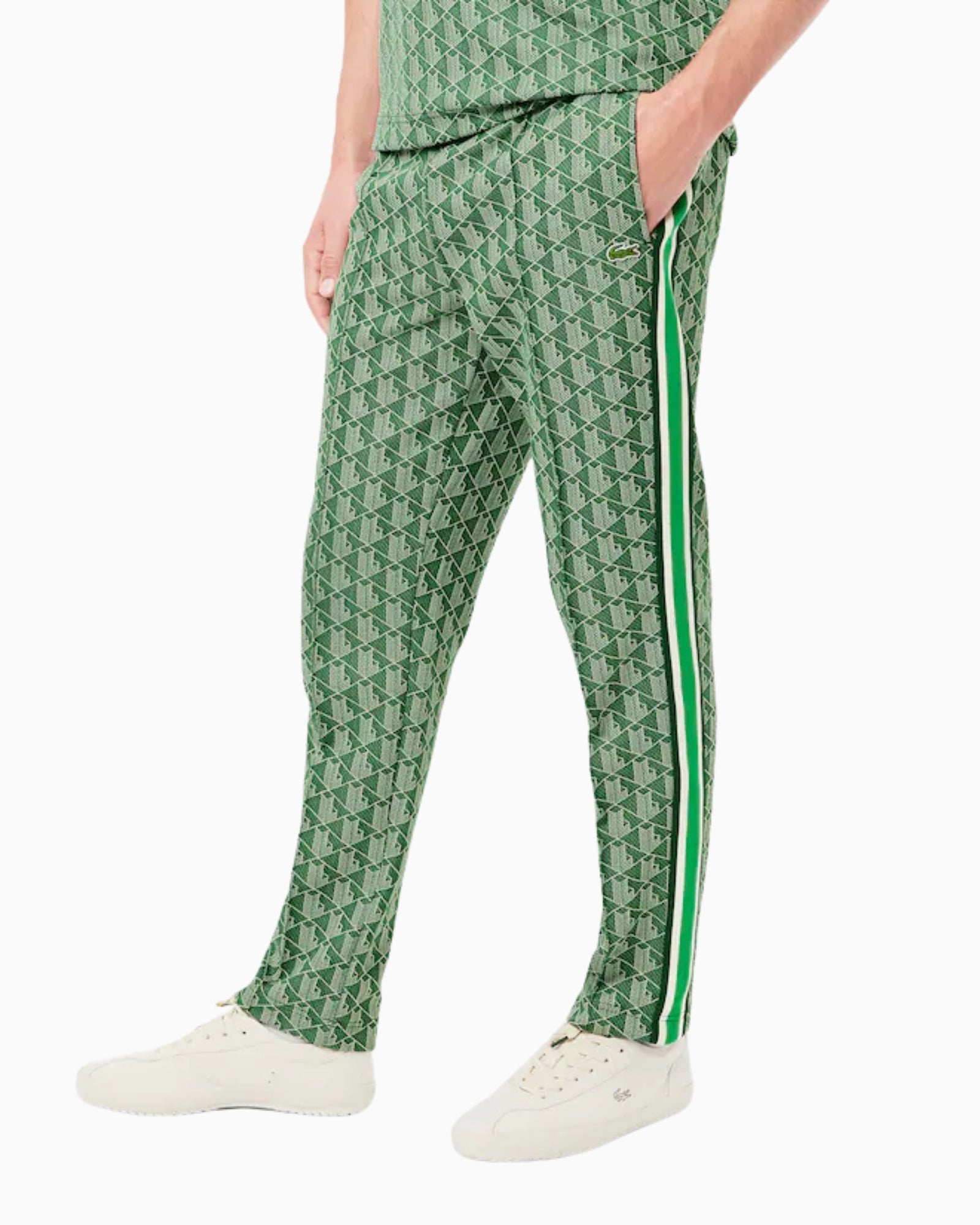 Lacoste Pantatuta XH1440/HEI