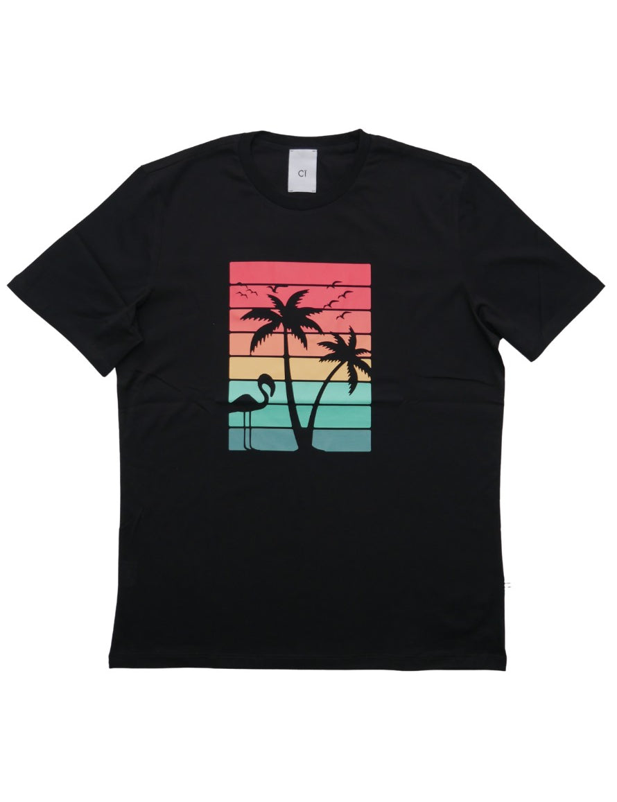 Estate, S, SS23, T-Shirt, Tortora, Uomo, XL, XXL, XXXL